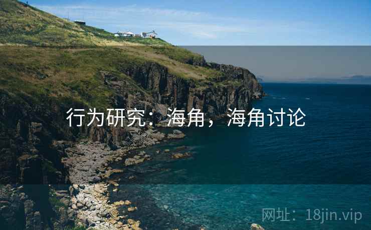 行为研究：海角，海角讨论