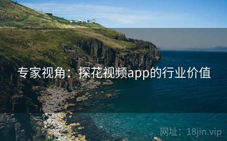 专家视角：探花视频app的行业价值