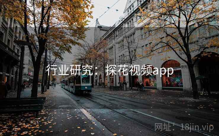 行业研究：探花视频app