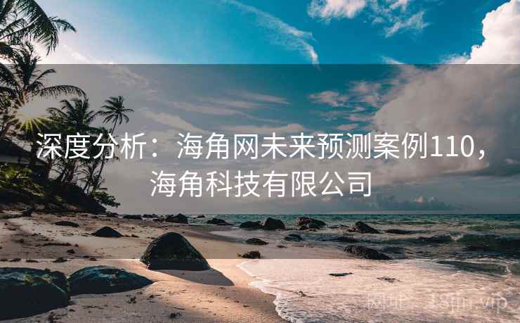 深度分析：海角网未来预测案例110，海角科技有限公司