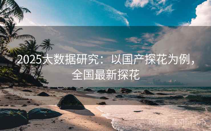 2025大数据研究：以国产探花为例，全国最新探花